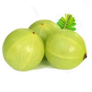 Amla